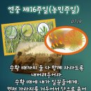 2026-07-19연중 제16주일(농민 주일)＜수확 때까지 둘 다 함께 자라도록 내버려 두어라.＞ 이미지