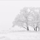 겨울나그네 이미지