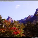 권금휴게소 이미지