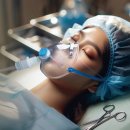 수선동물병원 이미지