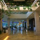 할로브리즈 이미지