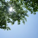 양평캠핑밸리 이미지