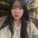 해보5일시장 | 포치타!