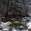 분설담화장실 이미지