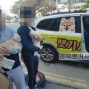 신동동물병원 이미지