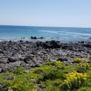 신천목장 이미지