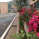 외1리마을회관 이미지