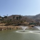 숲속노을로(1) 이미지