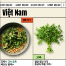 고수의 레시피 | 고수 듬뿍 쌀국수 만들기 집에서 쉽게 만드는 쌀국수 레시피