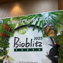 (주)지에스엘바이오코리아 | 바이오블리츠 코리아 2025 참가 후기