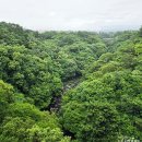 서귀포 천제연 관개수로 | 제주 중문관광단지 볼거리 천제연폭포 관광지 추천
