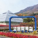 좋은환경연구소