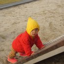 세화초등학교 병설유치원 이미지