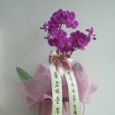서연플라워 - 시흥시 서해안로 586 | 서연플라워