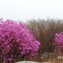 서산여인숙 이미지