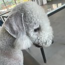 삼룡이네 이미지