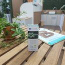 (주) 파이오 이미지