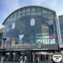 제이든29-1호스텔 | [일본여행] 다카마쓰 심볼타워 무료전망대/ 위베이스 호스텔 근처 이자카야 추천