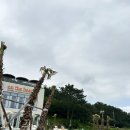 피크닉온더비치 이미지