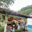 몽애견