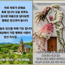 제16회 동방서법탐원회전 작품 출품/드론 공습,핵협상,이란 원유수출 제재 면제,워시 연준,美 역사상 가장 굴욕적 외교 이미지