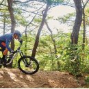 월드컵서로R 이미지