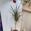 상아식당 이미지