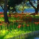 송림톱밥 이미지