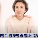 우영우 판사역 강명주 배우의 운명 이미지