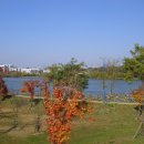 대원보건진료소 이미지