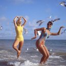 강남대로101안길 18-1 이미지