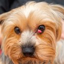 다산아이동물병원 이미지