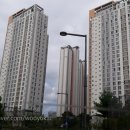 도담민들레치과의원 네이버블로그