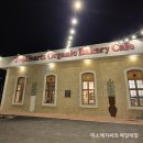 [의정부] 투하츠 베이커리 카페 - 빵이 맛있는 오가닉 베이커리 카페