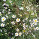 “나만의 인생길 만들기” 이미지