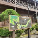 하추자연휴양림 | 강원도 인제 하추자연휴양림 철쭉방 계곡 있는 자연휴양림