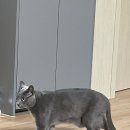 한밭두레협동조합