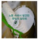경매박사 | [아파트 경매 후기] 60세 박사의 반값 셀프 인테리어, 3,000만 원 절약 실전기 (노목 소정원)