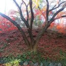 장충파출소 이미지