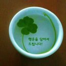 즐밤