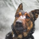 방주동물병원 이미지