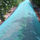 상순농장 이미지