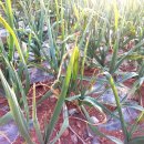 덕월녹색체험마을 이미지