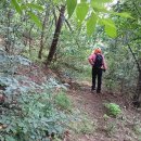 능선길 118 이미지