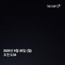 새벽아침농장 네이버블로그
