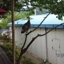 여행사랑주 - 경주시 중앙로 36 | 여행사랑주