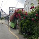 학남어린이집 이미지