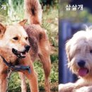 구룡대매표소 이미지