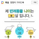 강아지 나이 계산법 이미지