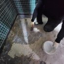 악쓰는하마 이미지